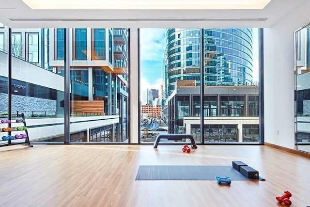 workout area with a wealth of natural light, a city view, floor to ceiling windows, and wood finished floors