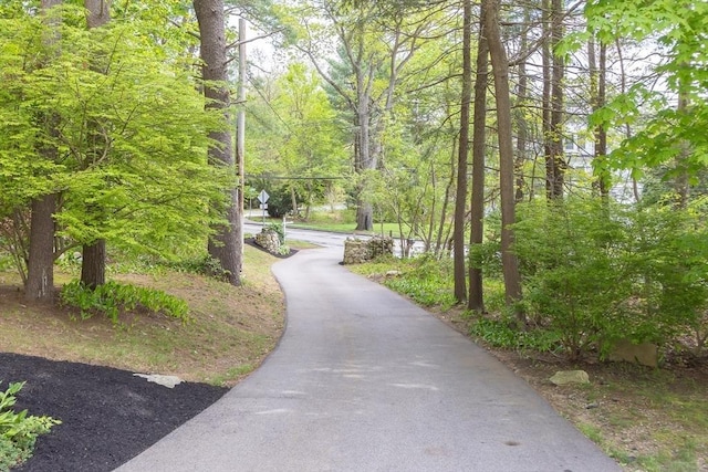 view of home's community featuring driveway and a view of trees