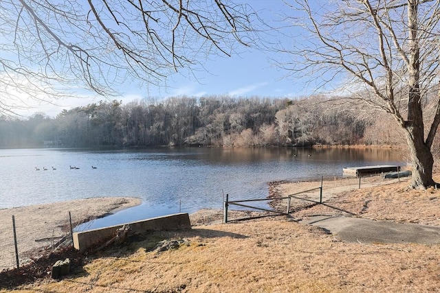 view of yard with a view of trees and a water view