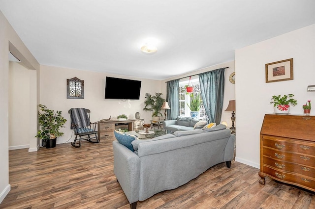 living room featuring wood-type flooring