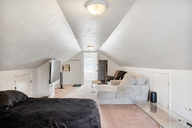 33 Alden Ave, Revere, MA 02151 - bedroom with light carpet, a textured ceiling, and lofted ceiling