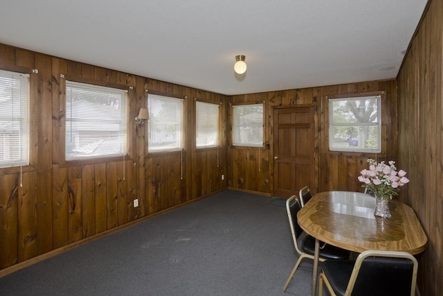 51 Hardy St, Springfield, MA 01129 - carpeted dining space featuring wooden walls