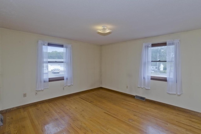 51 Hardy St, Springfield, MA 01129 - spare room with plenty of natural light, light wood-type flooring, and baseboards