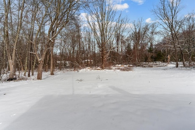 view of yard layered in snow