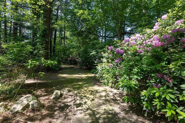 16 Summer St, Easton, MA 02356 - view of yard