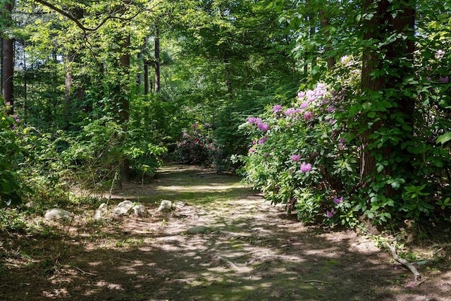 16 Summer St, Easton, MA 02356 - view of nature