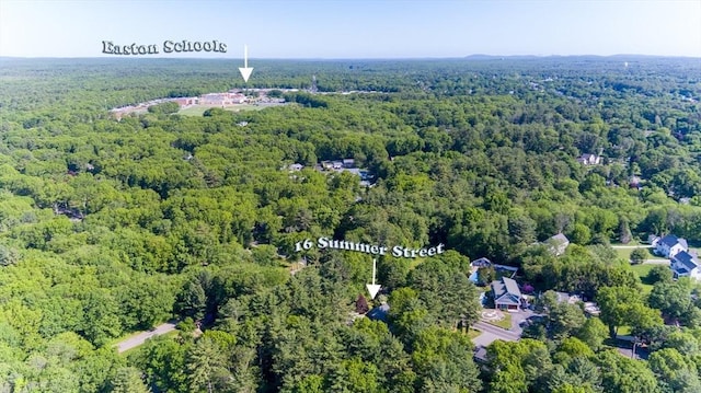 16 Summer St, Easton, MA 02356 - view of property location with a heavily wooded area
