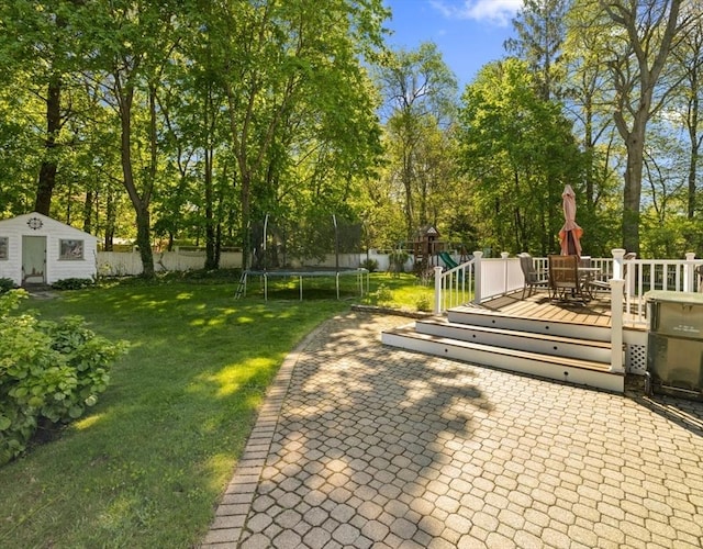 71 Dudley St, Marlborough, MA 01752 - view of patio / terrace with a trampoline, a shed, a deck, an outdoor structure, and view of scattered trees