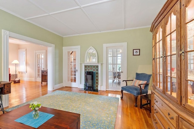 102 Chestnut St, Andover, MA 01810 - living room with light wood-style floors, a fireplace, baseboards, and radiator heating unit