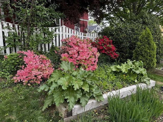 102 Chestnut St, Andover, MA 01810 - exterior view of a vegetable garden