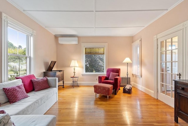 102 Chestnut St, Andover, MA 01810 - living area with radiator, a wall mounted AC, light wood-style floors, and ornamental molding