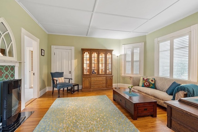 102 Chestnut St, Andover, MA 01810 - living area with a high end fireplace, light wood-style flooring, and baseboards