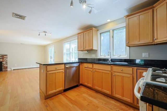 kitchen featuring stainless steel dishwasher, rail lighting, a sink, and a peninsula