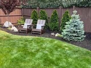 view of yard with a fenced backyard