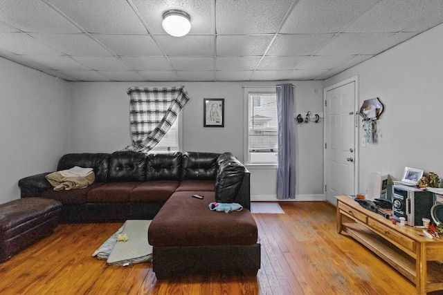 living room with a drop ceiling and wood-type flooring