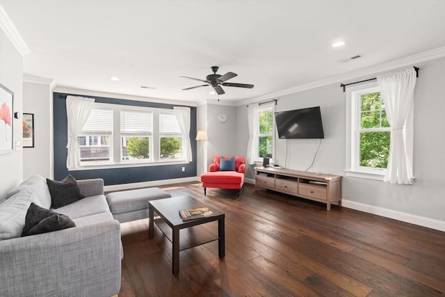 51 Waltham St Unit 3, Maynard, MA 01754 - living room with hardwood / wood-style floors, ornamental molding, healthy amount of natural light, baseboards, and a ceiling fan