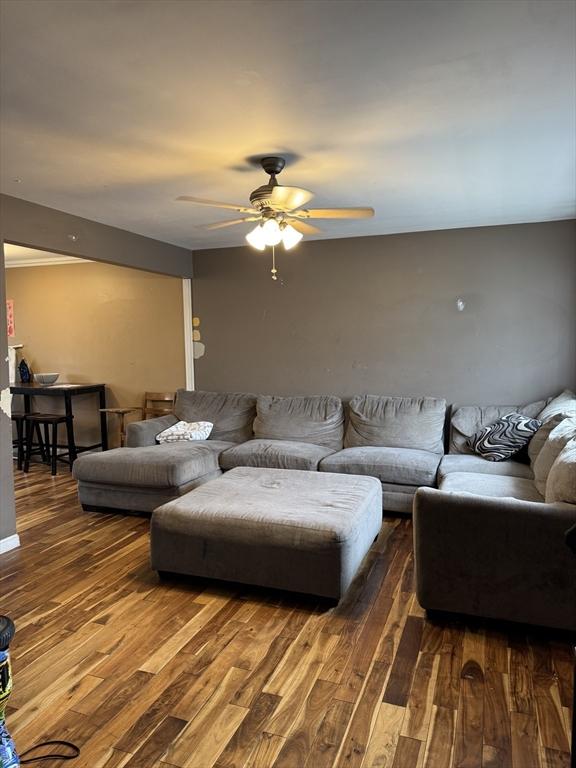 living area featuring ceiling fan and wood finished floors