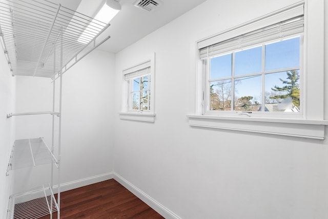 spacious closet featuring dark wood-type flooring