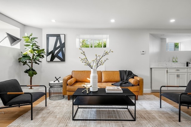 living room featuring light hardwood / wood-style flooring and a healthy amount of sunlight