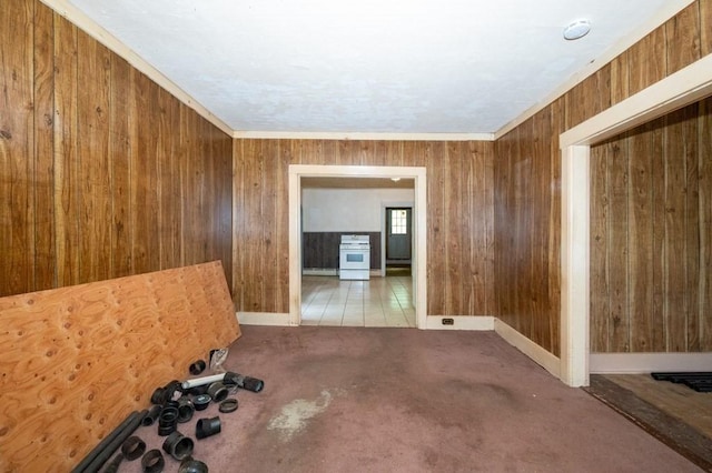 127 Cliff St, Southbridge, MA 01550 - carpeted spare room with wood walls, baseboards, and baseboard heating