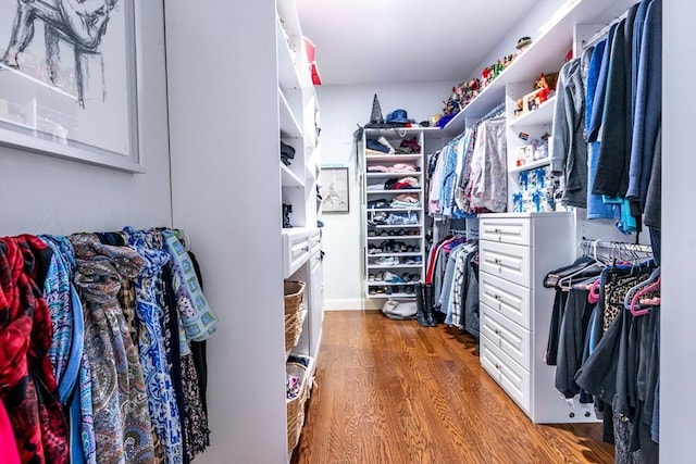 spacious closet featuring wood finished floors