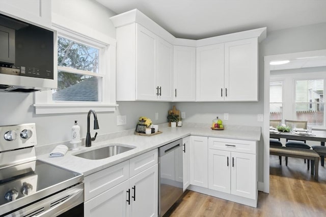 kitchen with appliances with stainless steel finishes, light wood-type flooring, a sink, and a wealth of natural light