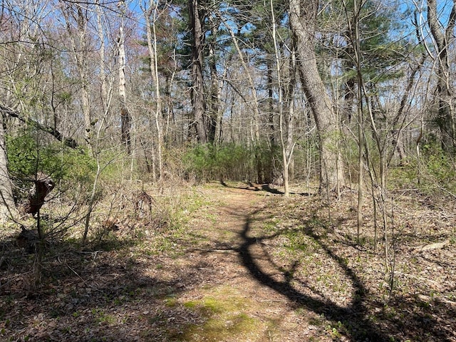 view of local wilderness