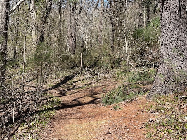 view of local wilderness