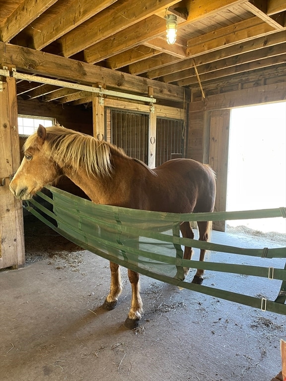 view of stable