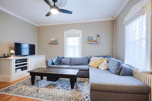 253 Front St, Weymouth, MA 02188 - living area featuring crown molding, light wood finished floors, radiator, and ceiling fan