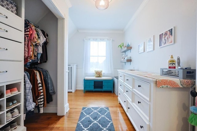 253 Front St, Weymouth, MA 02188 - spacious closet with light wood-style flooring and radiator