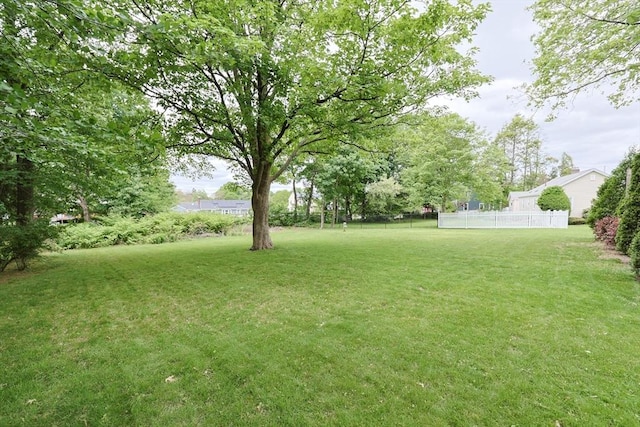 253 Front St, Weymouth, MA 02188 - view of yard