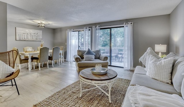 32 Sandy Reach Unit 32, Falmouth, MA 02536 - living room featuring baseboards, a textured ceiling, and light wood finished floors