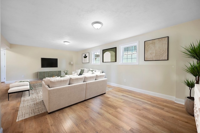 living room with light hardwood / wood-style flooring