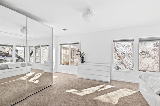 carpeted bedroom featuring a closet