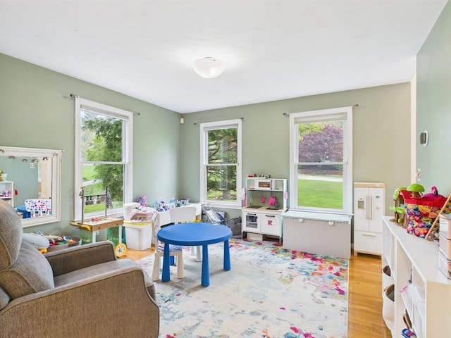 game room featuring wood finished floors