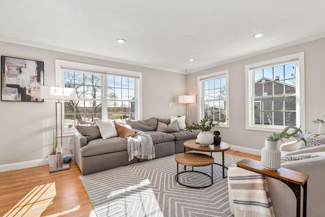 living room featuring hardwood / wood-style flooring and crown molding