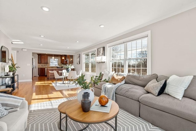 living room featuring ornamental molding and light wood-type flooring