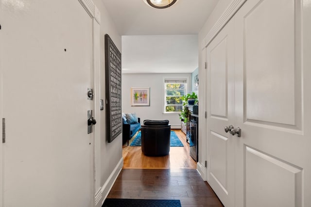 entrance foyer featuring dark hardwood / wood-style flooring