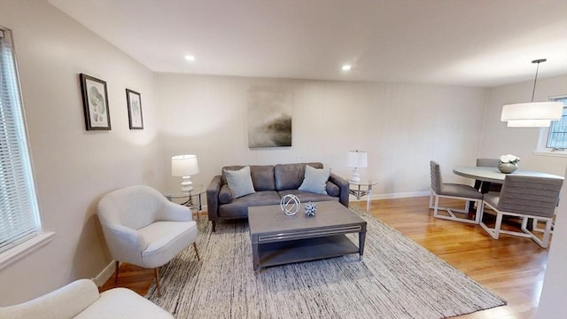 living room featuring hardwood / wood-style flooring