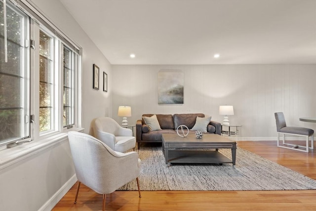 living room with wood-type flooring