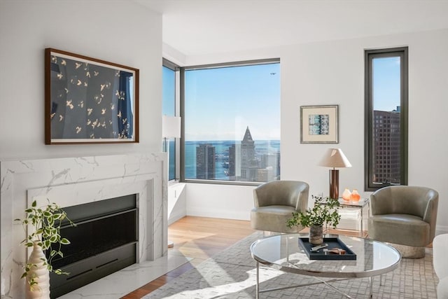 living area with a view of city, a premium fireplace, and wood finished floors