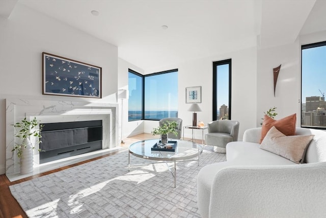 living room featuring a high end fireplace and wood finished floors