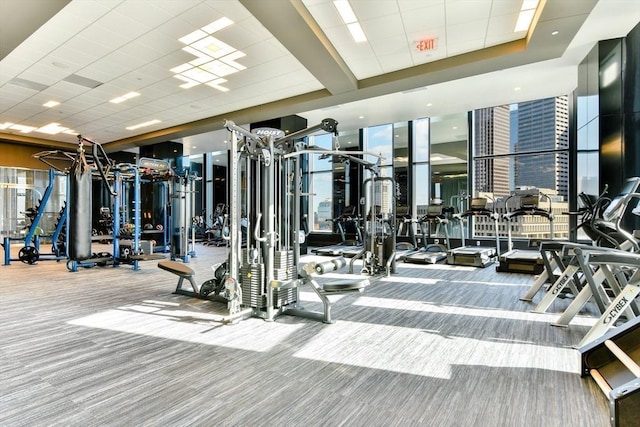 gym with visible vents, carpet floors, a wall of windows, and a paneled ceiling