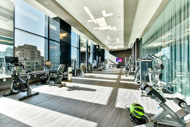 gym featuring a drop ceiling and carpet flooring