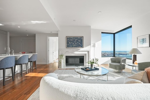 living area featuring a fireplace, wood finished floors, and baseboards