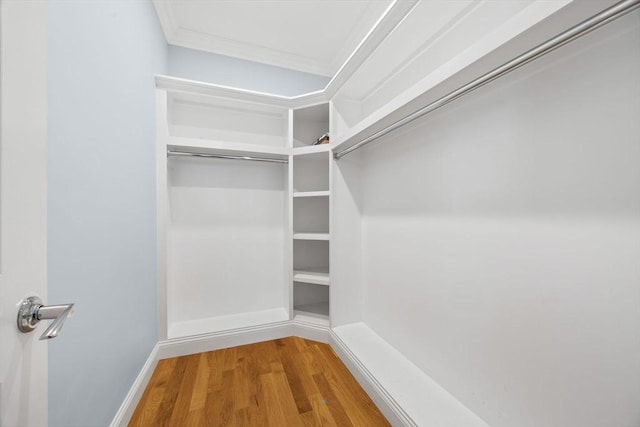 walk in closet with hardwood / wood-style flooring