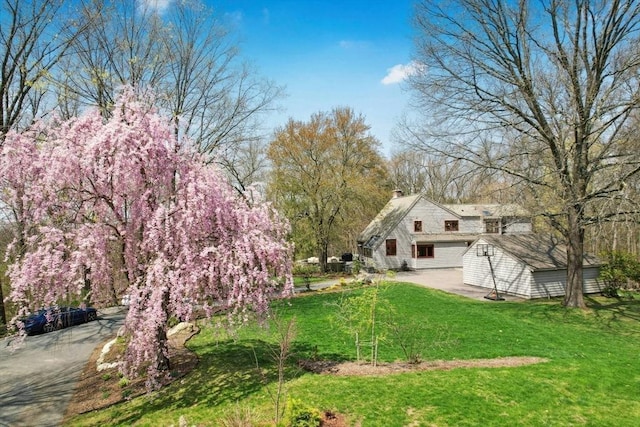 view of yard featuring a patio area