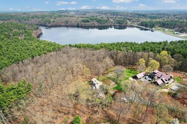 bird's eye view with a water view and a wooded view