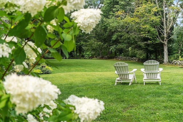9 The Cmn, Royalston, MA 01368 - view of green lawn